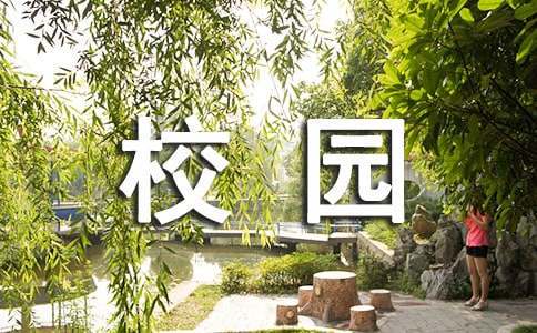 业余爱好者如何在有限时间内提升篮球优势_0